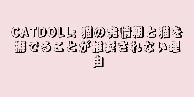 CATDOLL: 猫の発情期と猫を撫でることが推奨されない理由