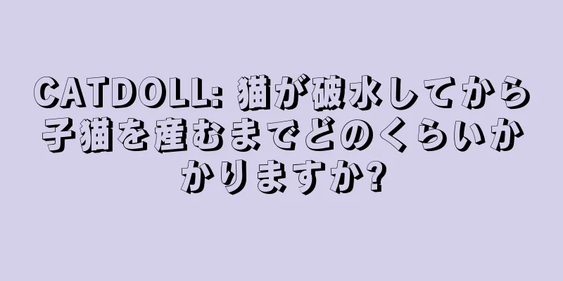 CATDOLL: 猫が破水してから子猫を産むまでどのくらいかかりますか?