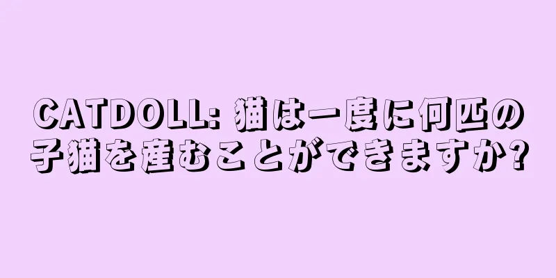 CATDOLL: 猫は一度に何匹の子猫を産むことができますか?