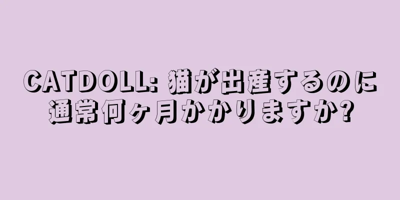CATDOLL: 猫が出産するのに通常何ヶ月かかりますか?