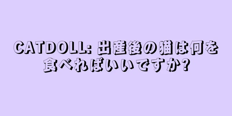 CATDOLL: 出産後の猫は何を食べればいいですか?