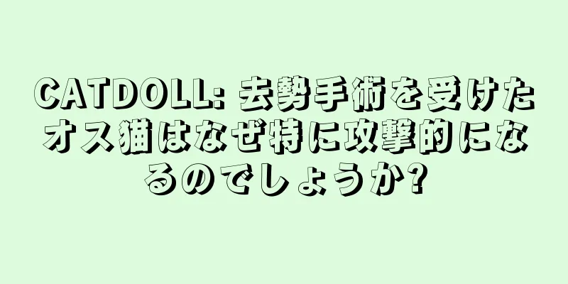 CATDOLL: 去勢手術を受けたオス猫はなぜ特に攻撃的になるのでしょうか?