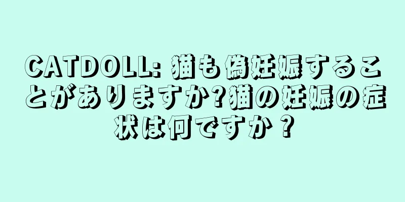 CATDOLL: 猫も偽妊娠することがありますか?猫の妊娠の症状は何ですか？