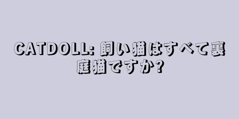 CATDOLL: 飼い猫はすべて裏庭猫ですか?