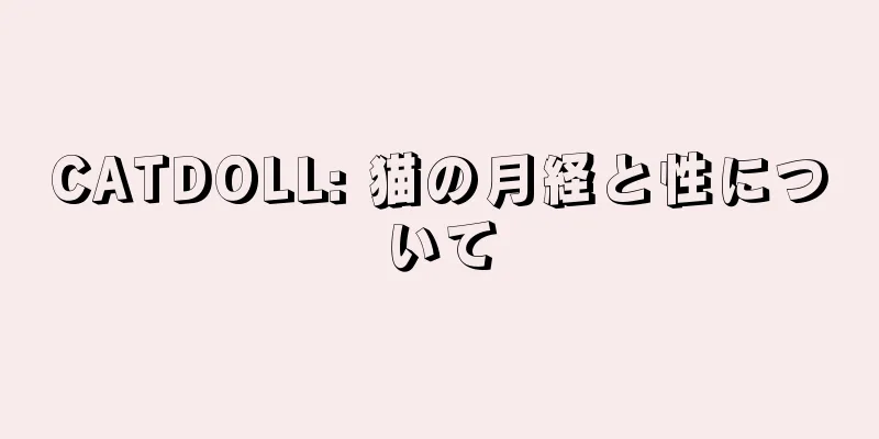 CATDOLL: 猫の月経と性について