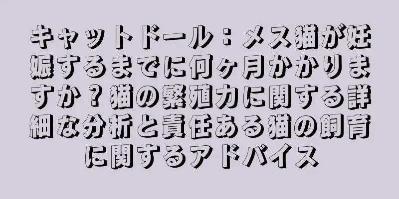 キャットドール：メス猫が妊娠するまでに何ヶ月かかりますか？猫の繁殖力に関する詳細な分析と責任ある猫の飼育に関するアドバイス