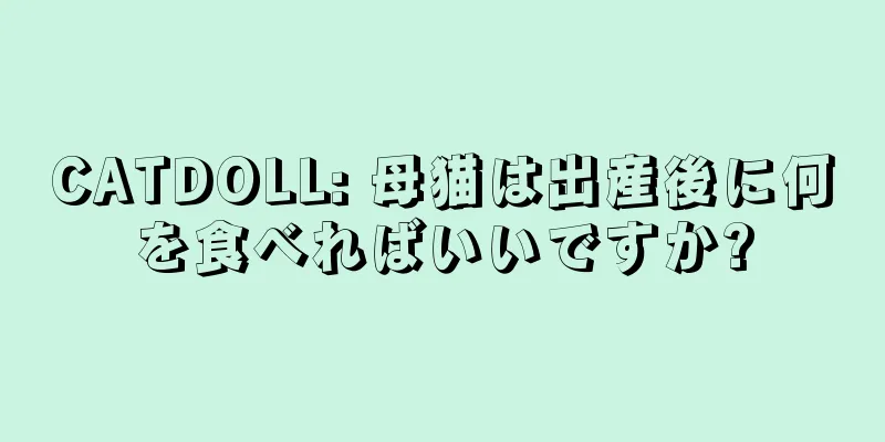 CATDOLL: 母猫は出産後に何を食べればいいですか?