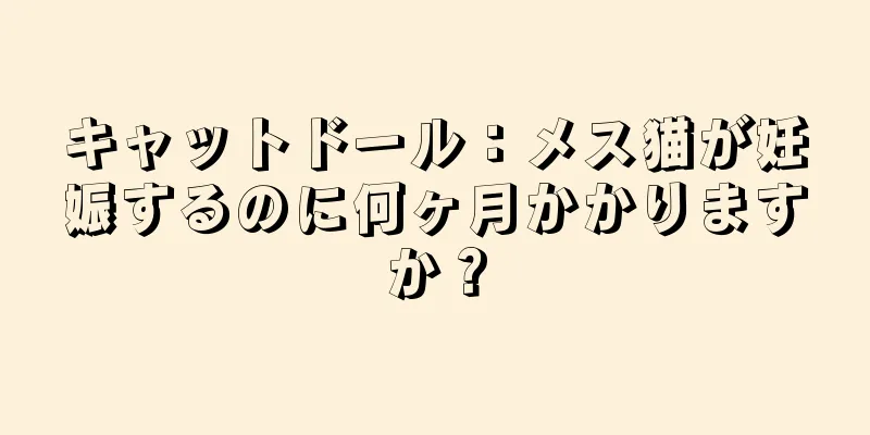 キャットドール：メス猫が妊娠するのに何ヶ月かかりますか？