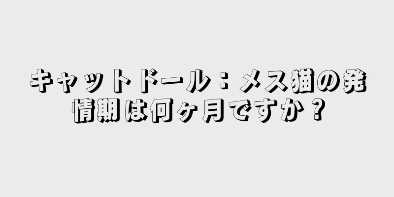 キャットドール：メス猫の発情期は何ヶ月ですか？