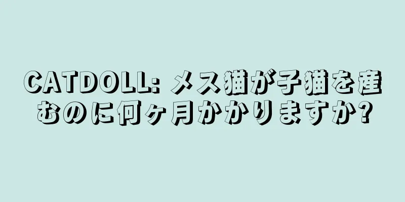 CATDOLL: メス猫が子猫を産むのに何ヶ月かかりますか?