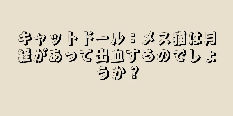 キャットドール：メス猫は月経があって出血するのでしょうか？