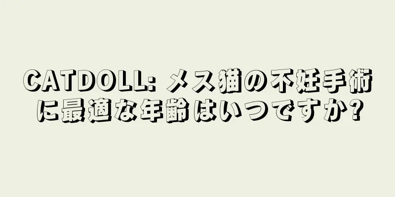 CATDOLL: メス猫の不妊手術に最適な年齢はいつですか?