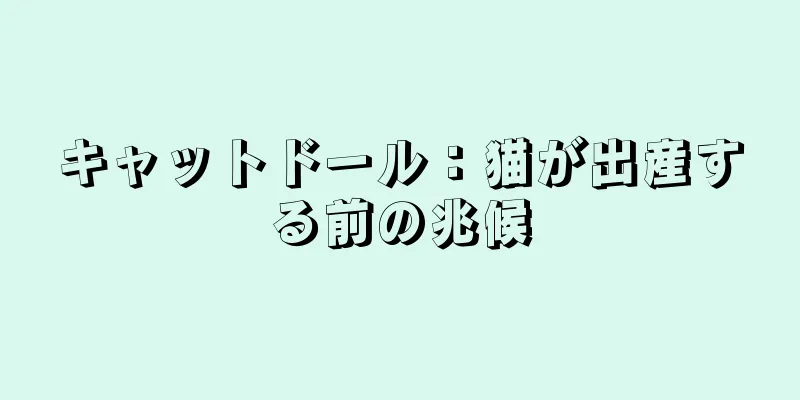 キャットドール：猫が出産する前の兆候