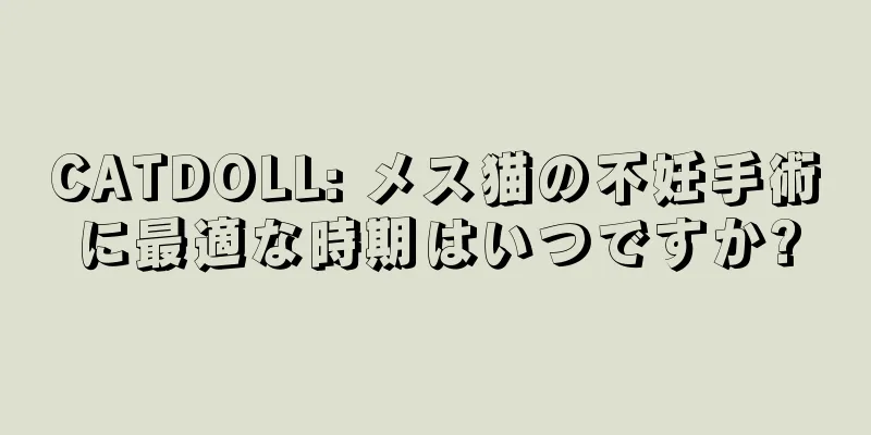 CATDOLL: メス猫の不妊手術に最適な時期はいつですか?