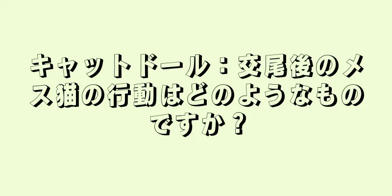 キャットドール：交尾後のメス猫の行動はどのようなものですか？