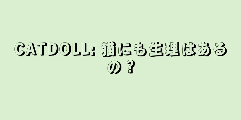 CATDOLL: 猫にも生理はあるの？