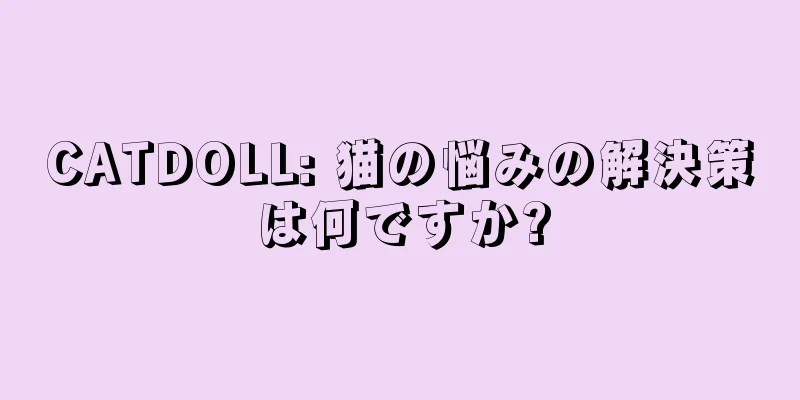 CATDOLL: 猫の悩みの解決策は何ですか?