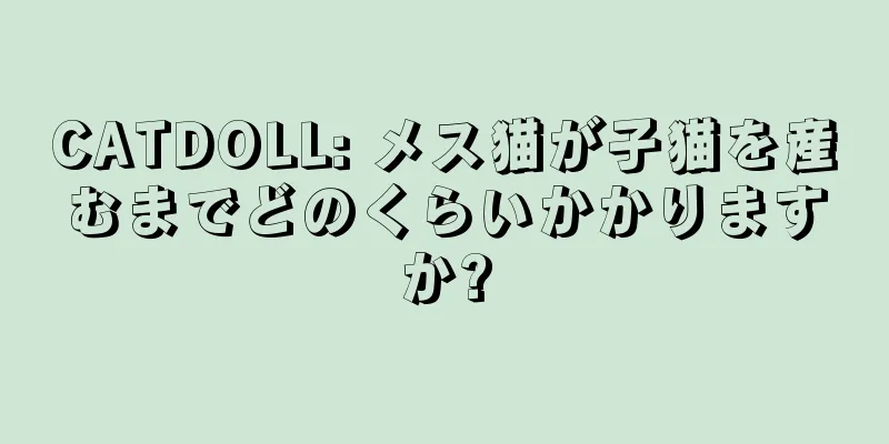 CATDOLL: メス猫が子猫を産むまでどのくらいかかりますか?
