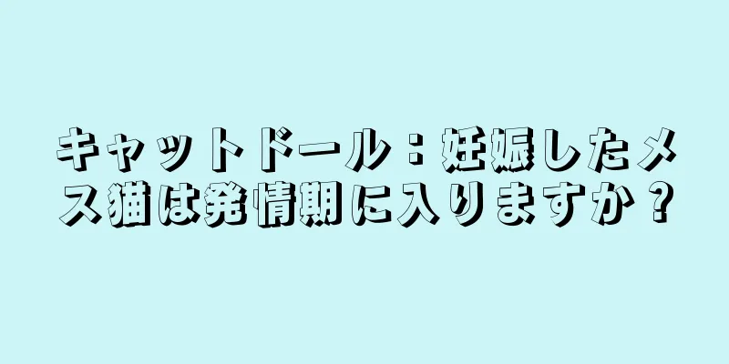 キャットドール：妊娠したメス猫は発情期に入りますか？