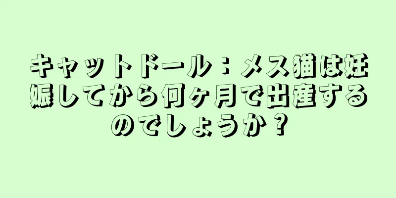 キャットドール：メス猫は妊娠してから何ヶ月で出産するのでしょうか？