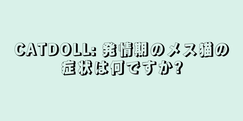 CATDOLL: 発情期のメス猫の症状は何ですか?