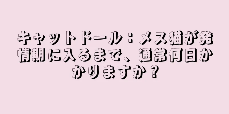 キャットドール：メス猫が発情期に入るまで、通常何日かかりますか？