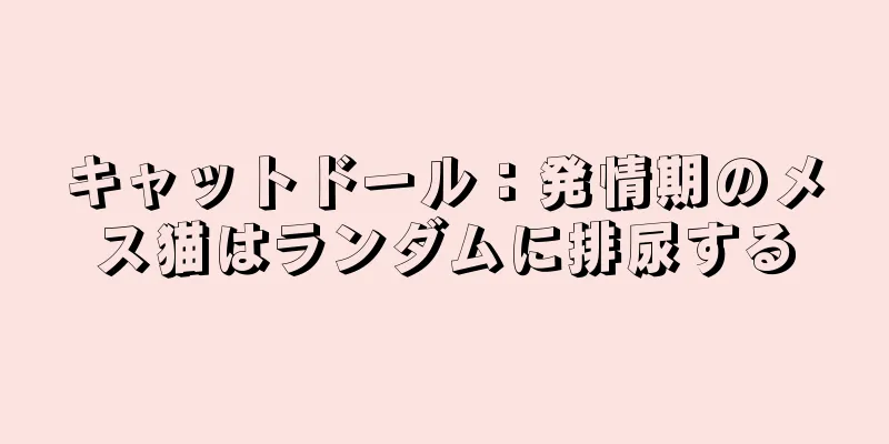 キャットドール：発情期のメス猫はランダムに排尿する