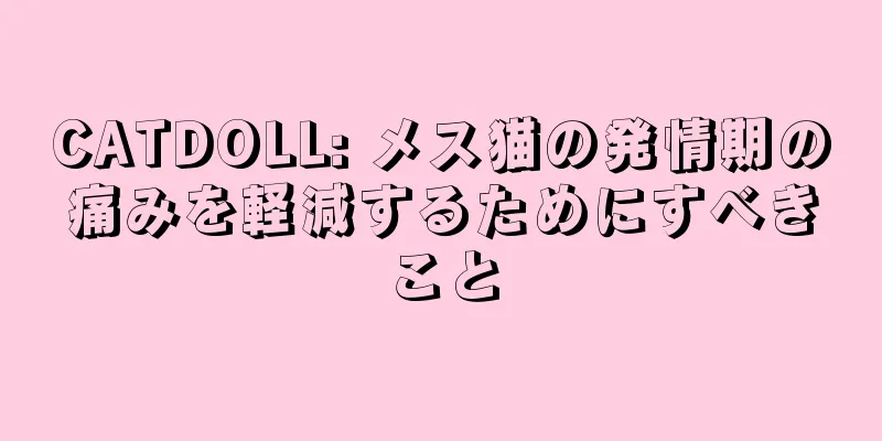 CATDOLL: メス猫の発情期の痛みを軽減するためにすべきこと