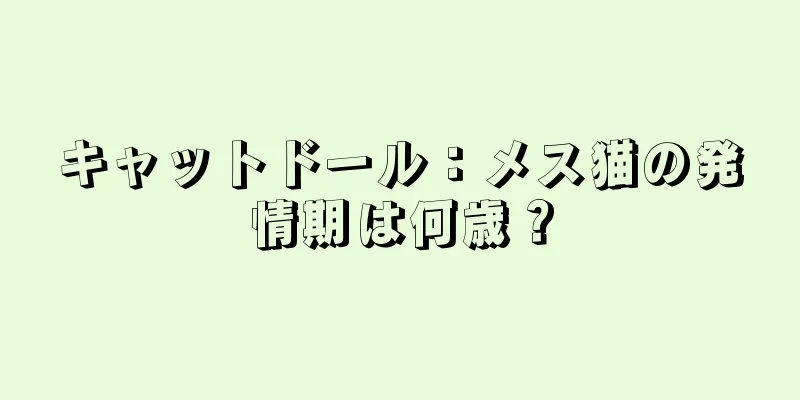 キャットドール：メス猫の発情期は何歳？
