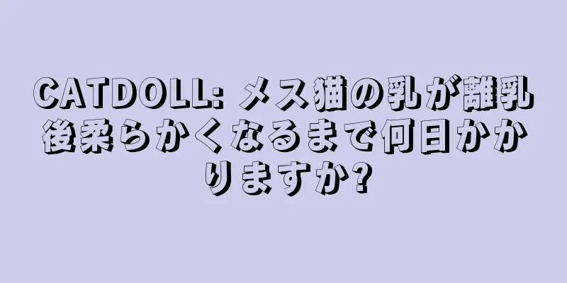 CATDOLL: メス猫の乳が離乳後柔らかくなるまで何日かかりますか?