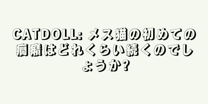 CATDOLL: メス猫の初めての癇癪はどれくらい続くのでしょうか?