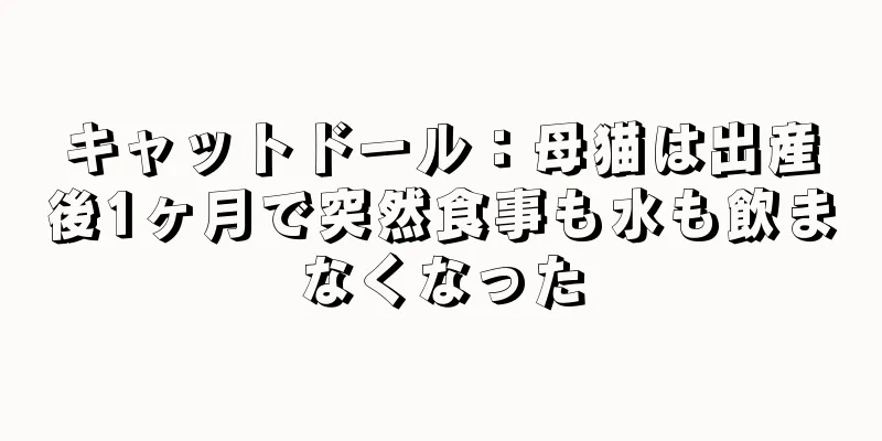 キャットドール：母猫は出産後1ヶ月で突然食事も水も飲まなくなった