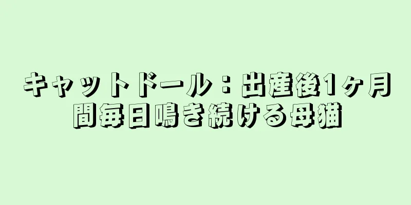 キャットドール：出産後1ヶ月間毎日鳴き続ける母猫