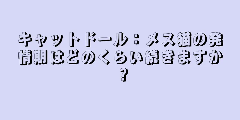 キャットドール：メス猫の発情期はどのくらい続きますか？