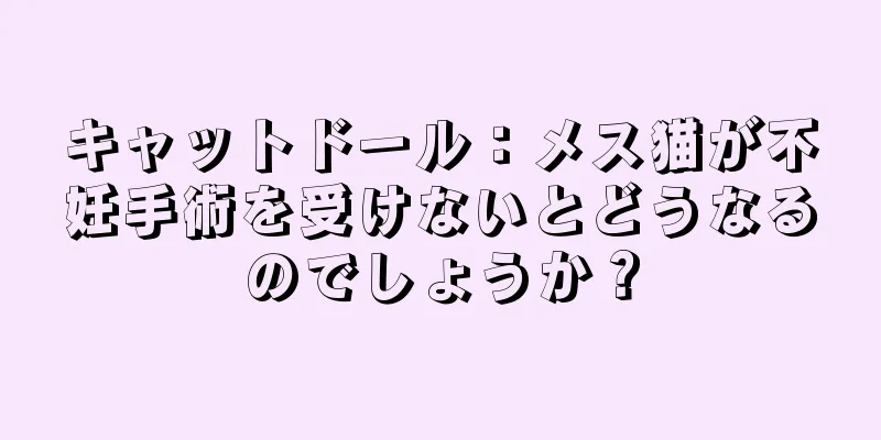 キャットドール：メス猫が不妊手術を受けないとどうなるのでしょうか？