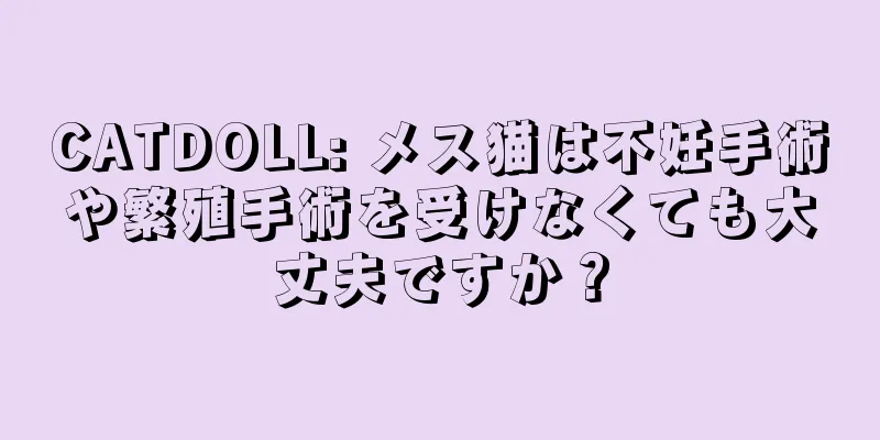 CATDOLL: メス猫は不妊手術や繁殖手術を受けなくても大丈夫ですか？