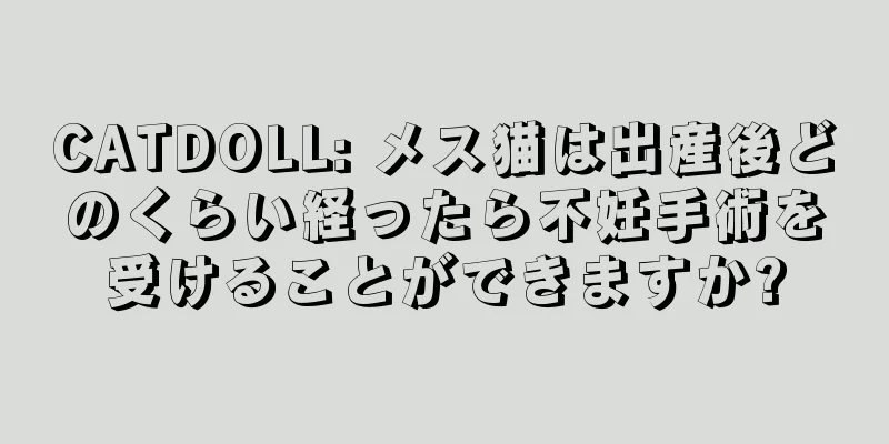 CATDOLL: メス猫は出産後どのくらい経ったら不妊手術を受けることができますか?