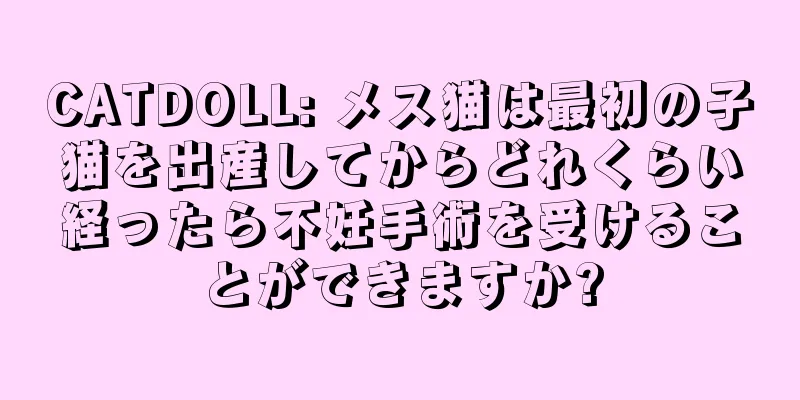 CATDOLL: メス猫は最初の子猫を出産してからどれくらい経ったら不妊手術を受けることができますか?