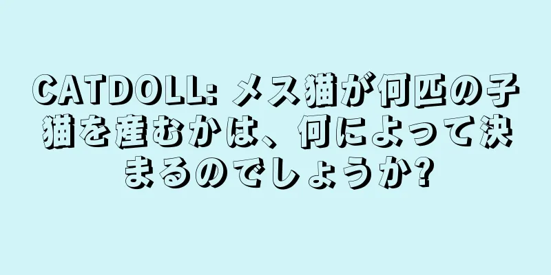 CATDOLL: メス猫が何匹の子猫を産むかは、何によって決まるのでしょうか?