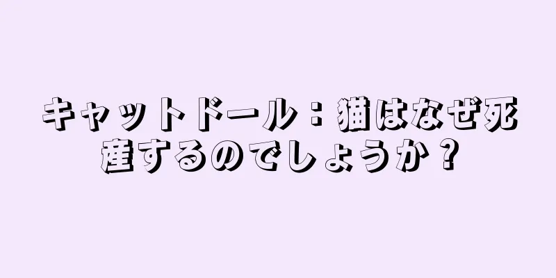 キャットドール：猫はなぜ死産するのでしょうか？