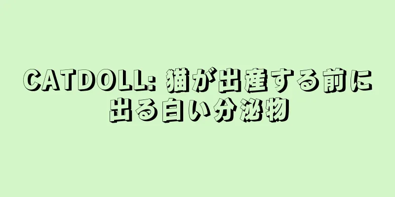 CATDOLL: 猫が出産する前に出る白い分泌物