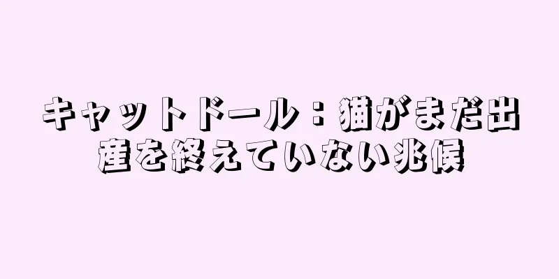 キャットドール：猫がまだ出産を終えていない兆候