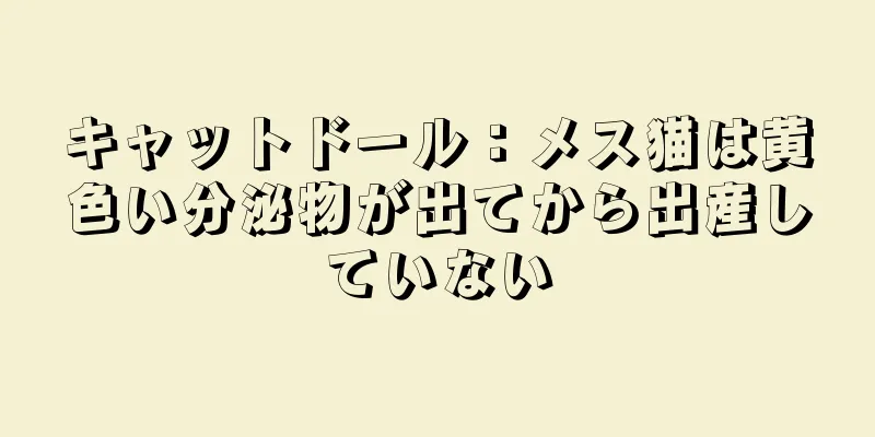 キャットドール：メス猫は黄色い分泌物が出てから出産していない