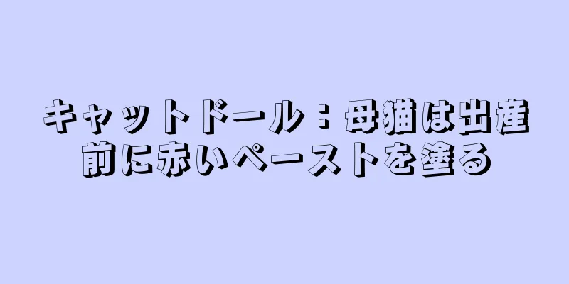 キャットドール：母猫は出産前に赤いペーストを塗る