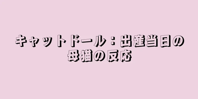 キャットドール：出産当日の母猫の反応