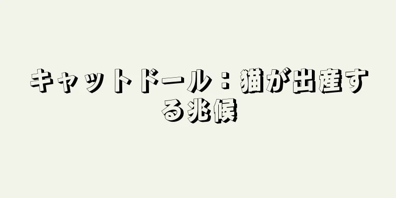 キャットドール：猫が出産する兆候