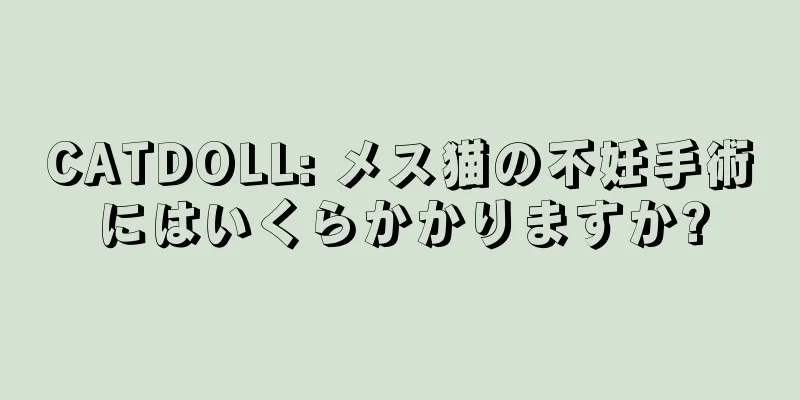 CATDOLL: メス猫の不妊手術にはいくらかかりますか?