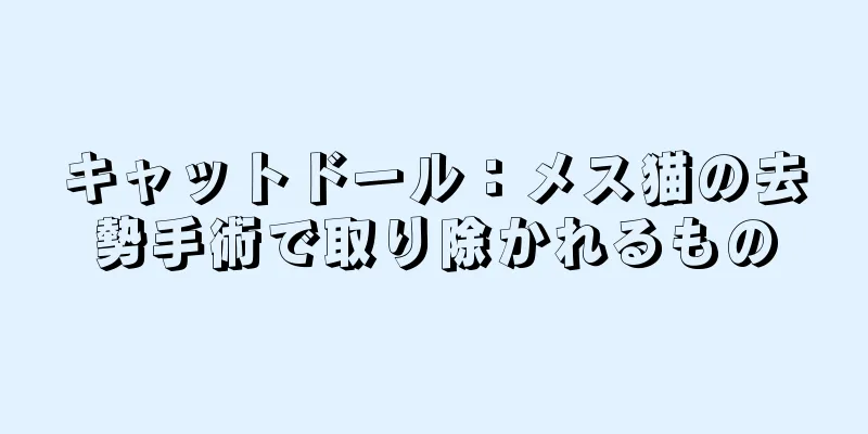 キャットドール：メス猫の去勢手術で取り除かれるもの