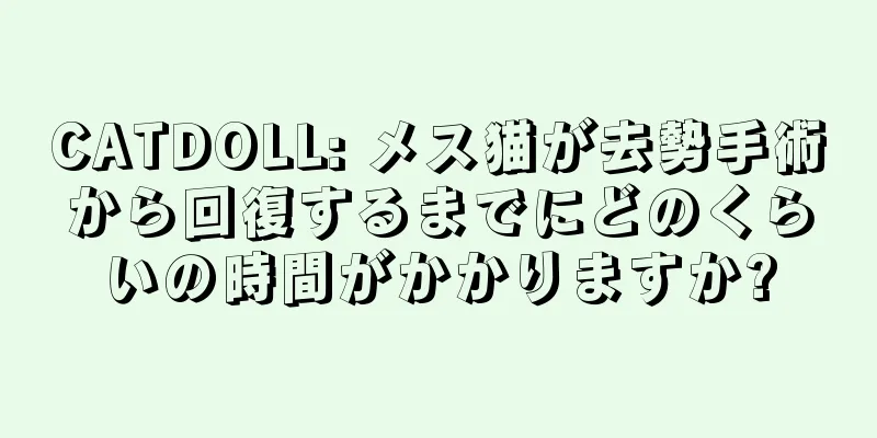 CATDOLL: メス猫が去勢手術から回復するまでにどのくらいの時間がかかりますか?
