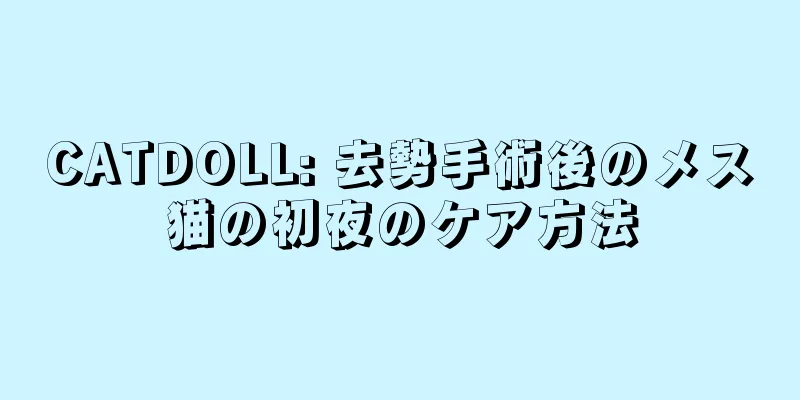 CATDOLL: 去勢手術後のメス猫の初夜のケア方法
